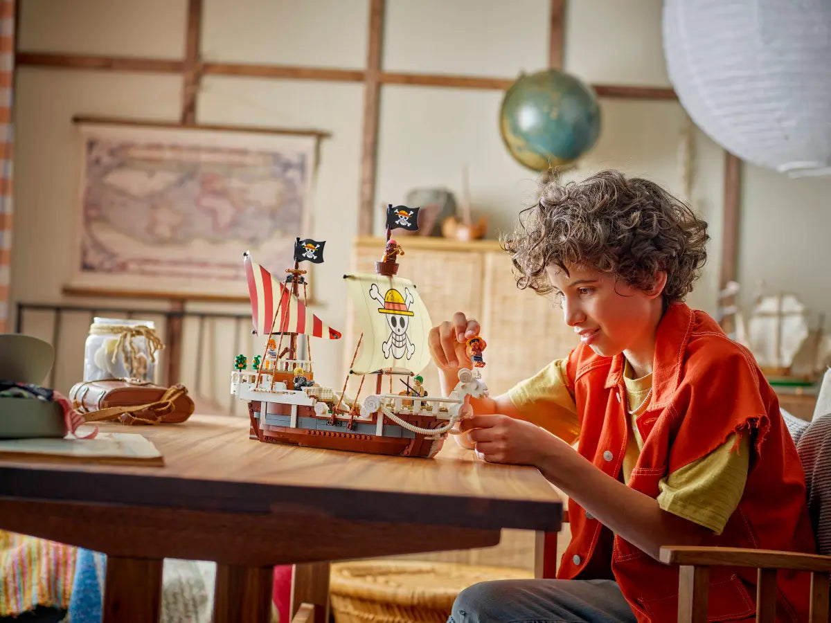 Le bateau pirate Vogue Merry