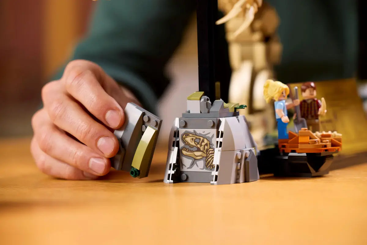 Les fossiles de dinosaures  le Tyrannosaurus rex