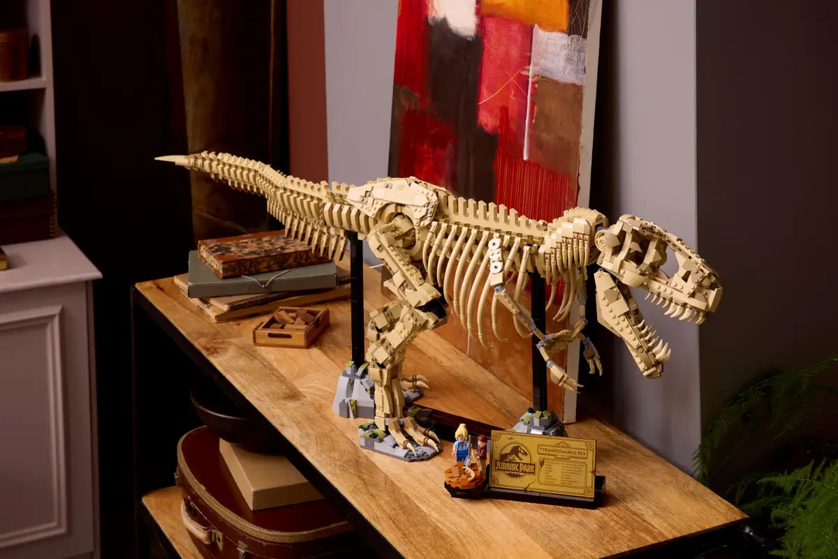 Les fossiles de dinosaures  le Tyrannosaurus rex